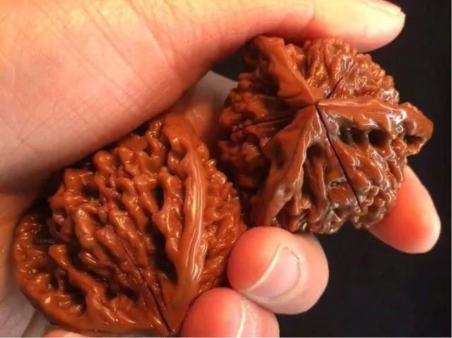 %title插图%num %title插图%num