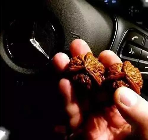 %title插图%num %title插图%num