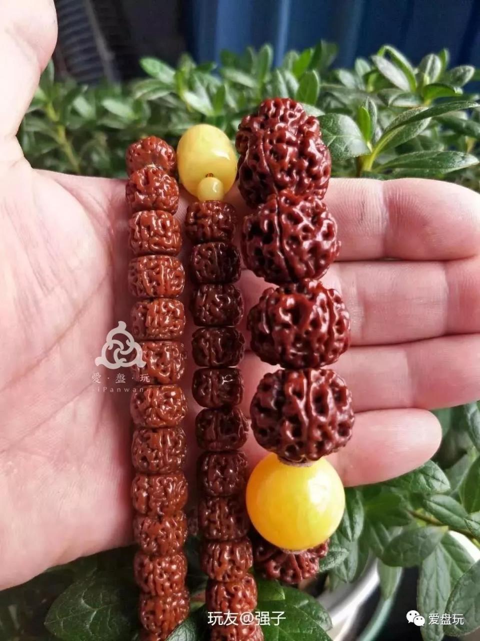 %title插图%num %title插图%num