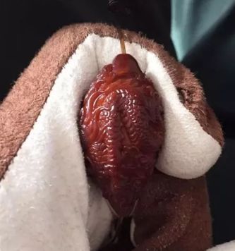 %title插图%num %title插图%num