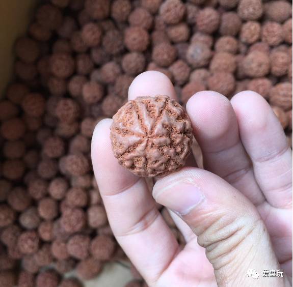 %title插图%num %title插图%num