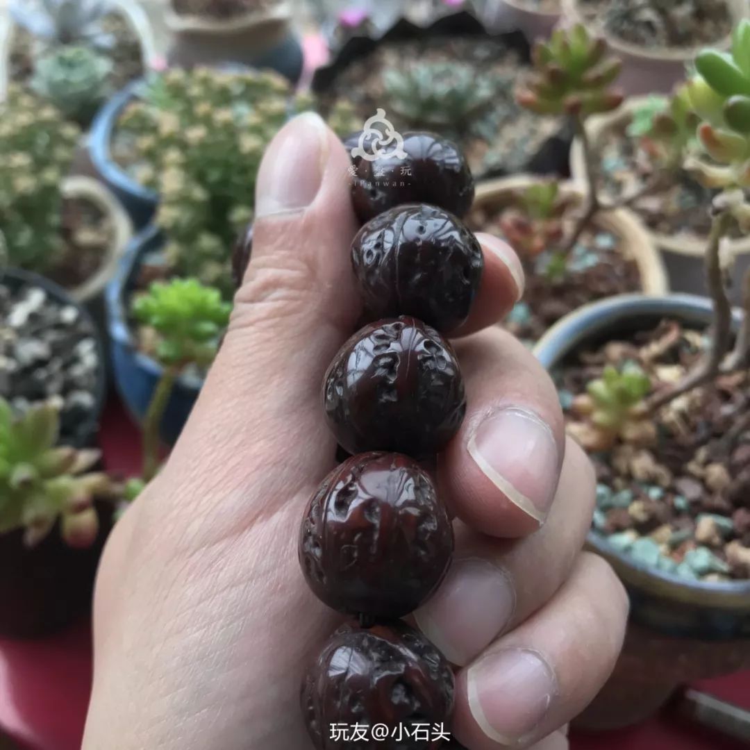 %title插图%num %title插图%num