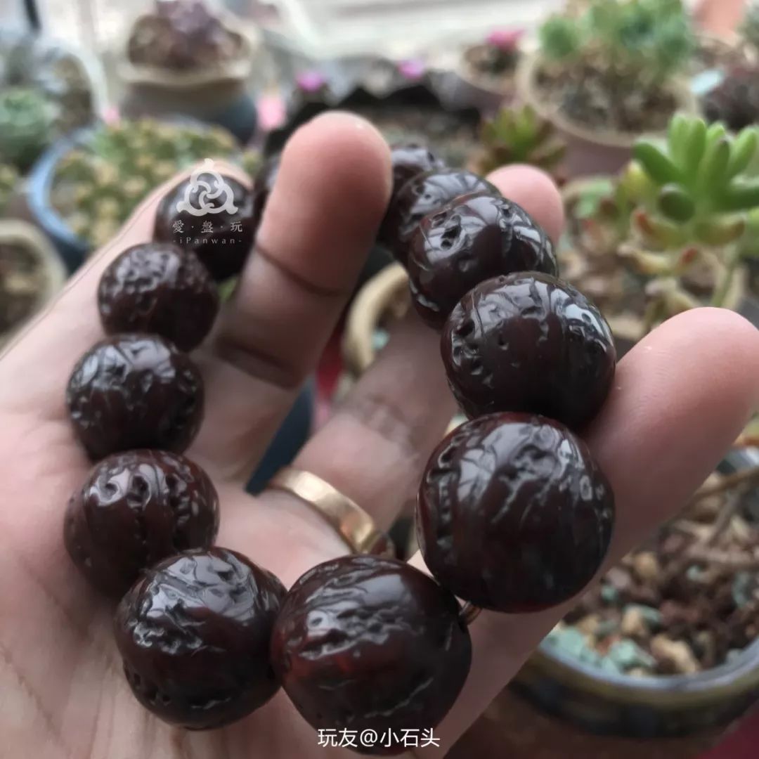 %title插图%num %title插图%num