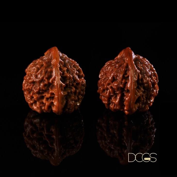 %title插图%num %title插图%num