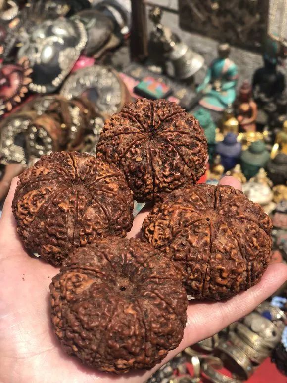 %title插图%num %title插图%num