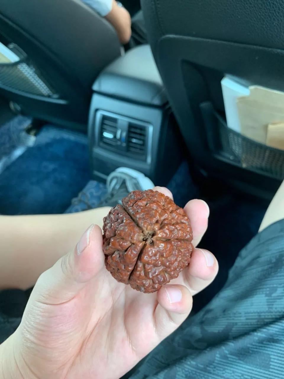 %title插图%num %title插图%num