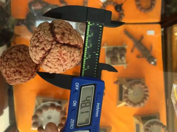 %title插图%num %title插图%num