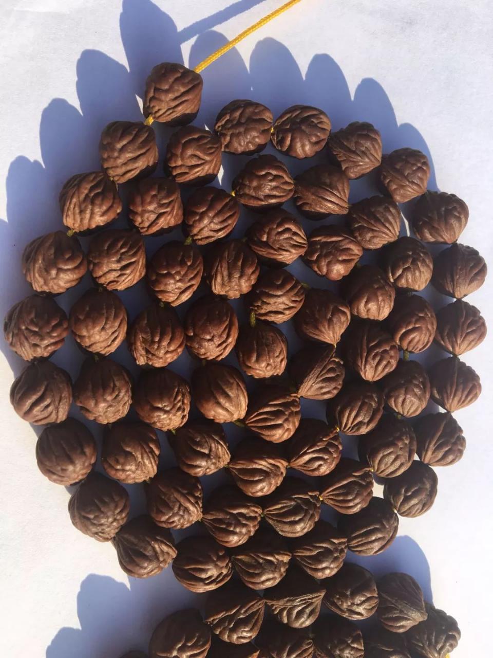 %title插图%num %title插图%num