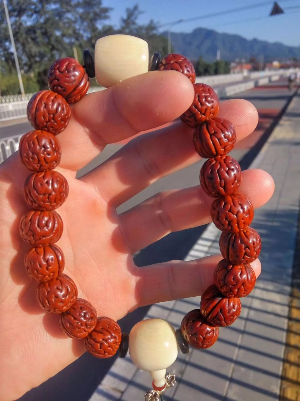 %title插图%num %title插图%num