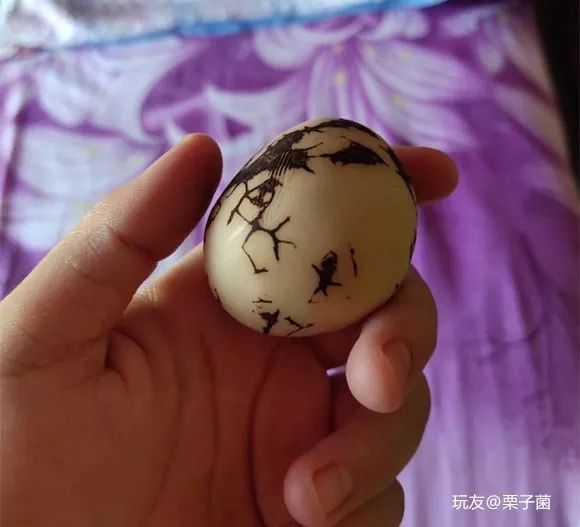 %title插图%num %title插图%num