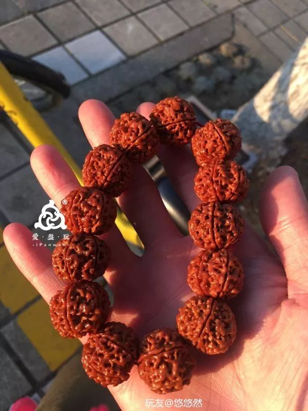 %title插图%num %title插图%num