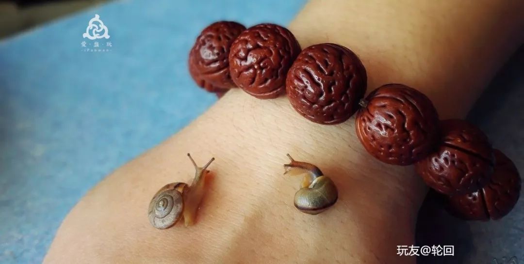 %title插图%num %title插图%num