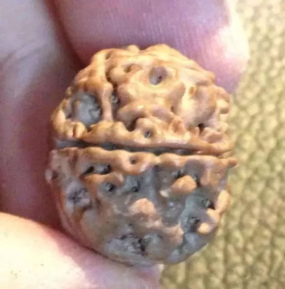 %title插图%num %title插图%num