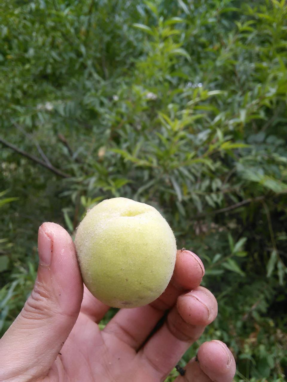 %title插图%num %title插图%num