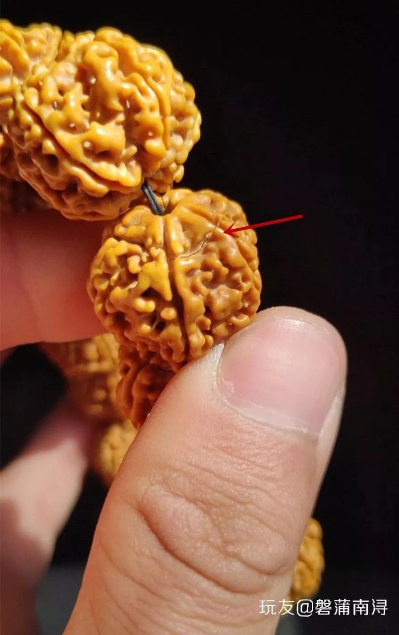 %title插图%num %title插图%num