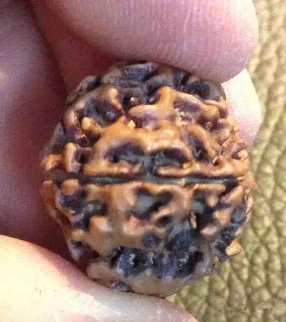 %title插图%num %title插图%num