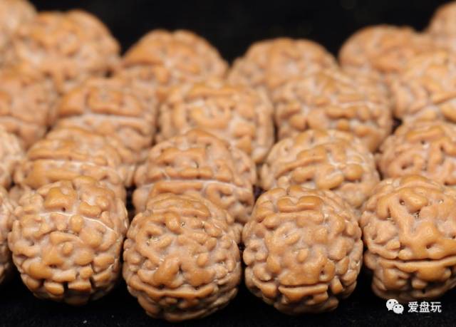 %title插图%num %title插图%num