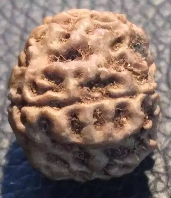 %title插图%num %title插图%num