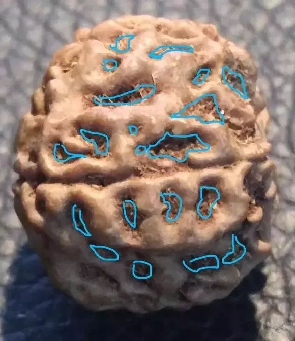 %title插图%num %title插图%num