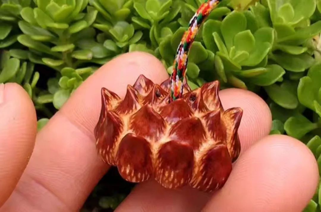 %title插图%num %title插图%num