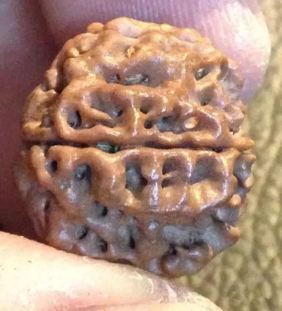 %title插图%num %title插图%num