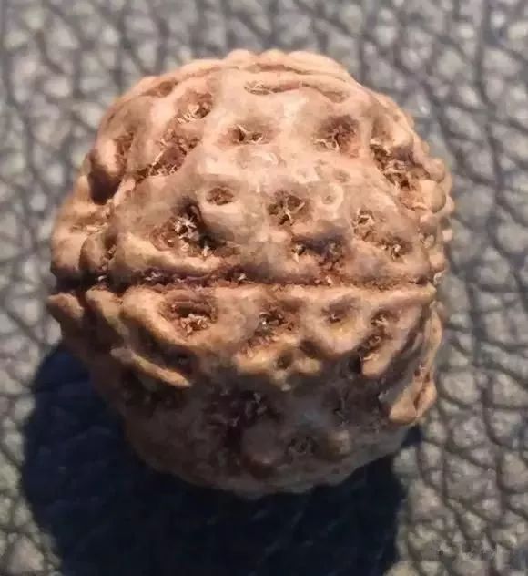 %title插图%num %title插图%num