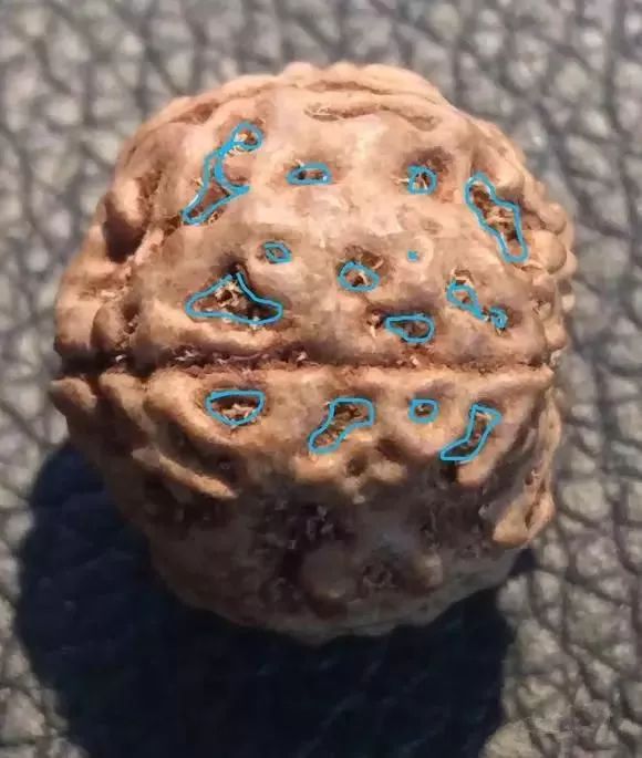 %title插图%num %title插图%num