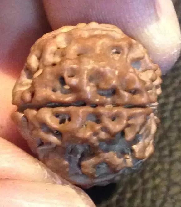 %title插图%num %title插图%num