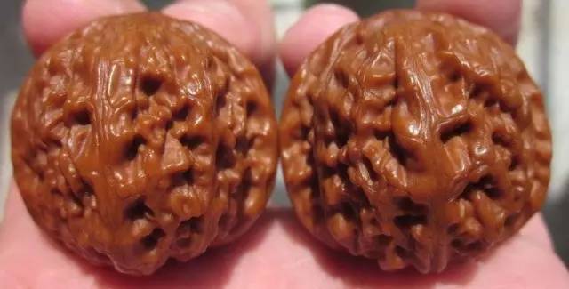 老款狮子头 %title插图%num