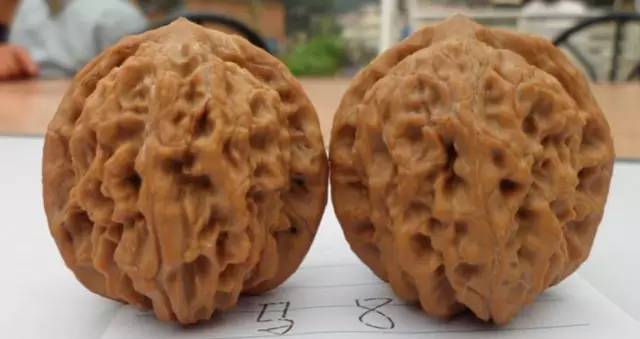 马老四狮子头 %title插图%num