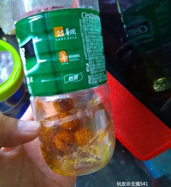 %title插图%num %title插图%num