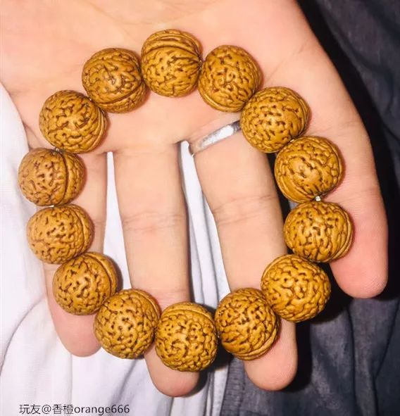 %title插图%num %title插图%num