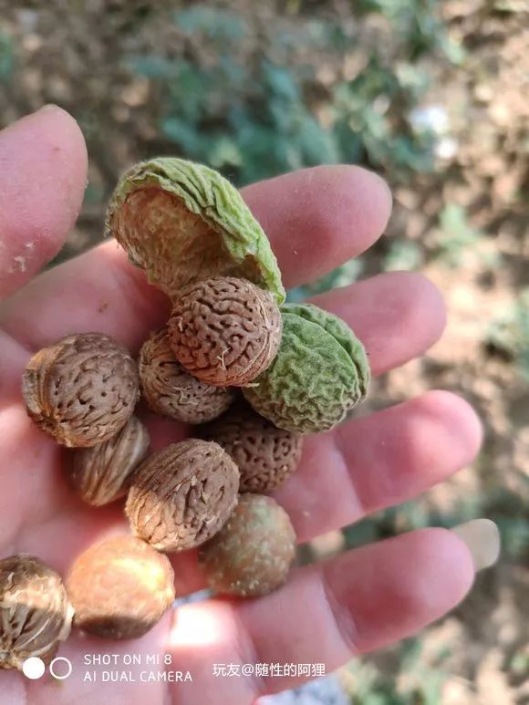 %title插图%num %title插图%num