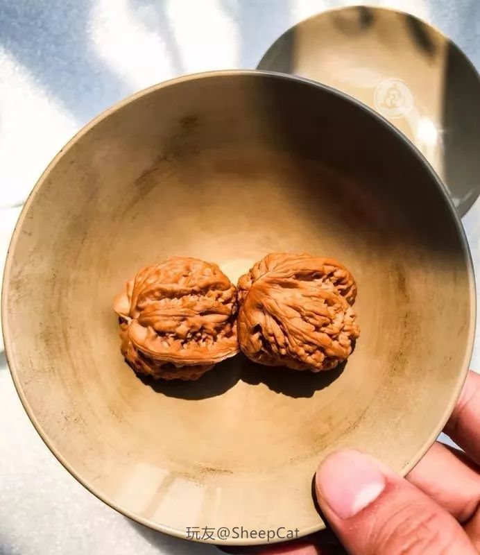 %title插图%num %title插图%num