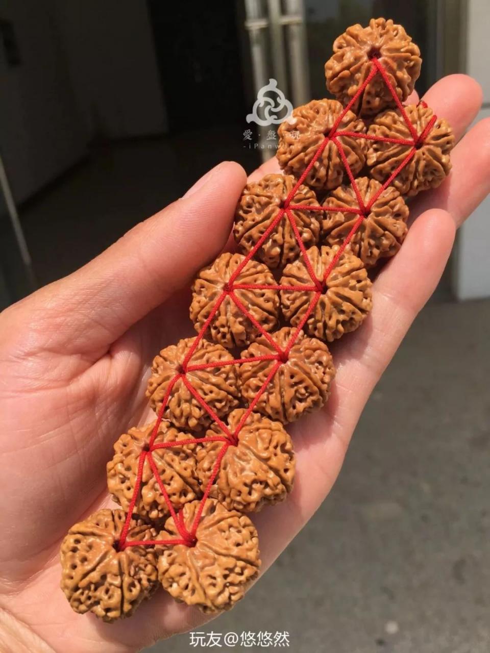 %title插图%num %title插图%num