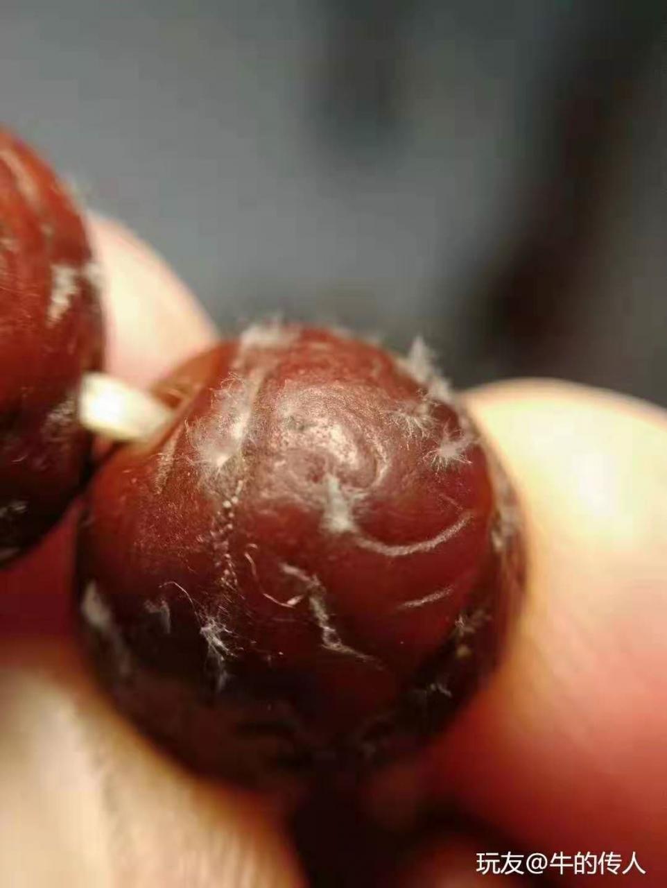 %title插图%num %title插图%num