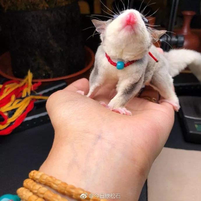 %title插图%num %title插图%num