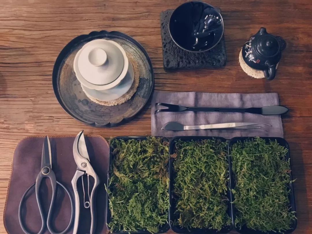 %title插图%num %title插图%num