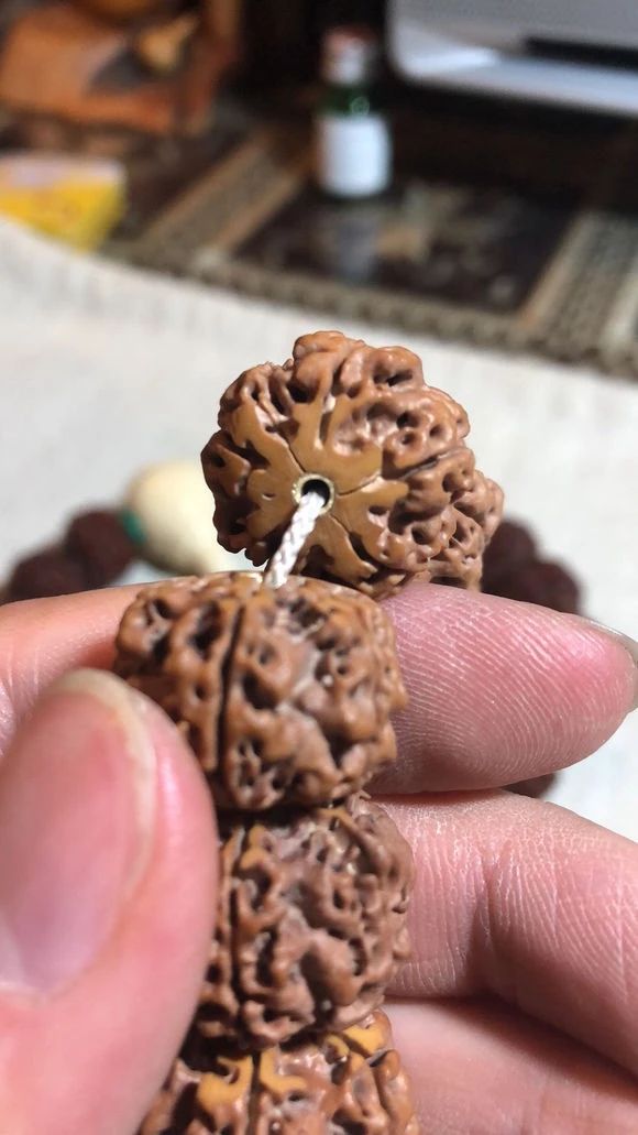 %title插图%num %title插图%num