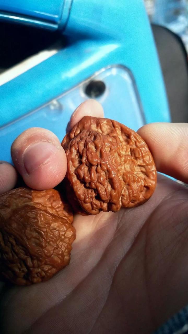 %title插图%num %title插图%num