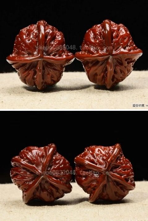 %title插图%num %title插图%num