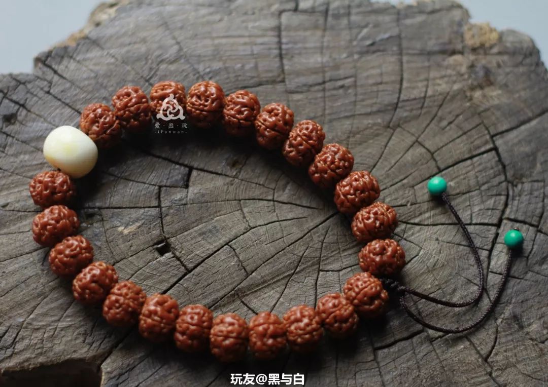 %title插图%num %title插图%num