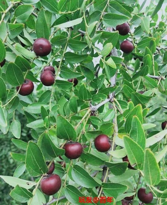 %title插图%num %title插图%num