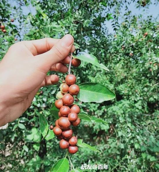 %title插图%num %title插图%num