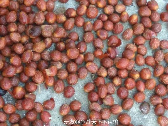 %title插图%num %title插图%num