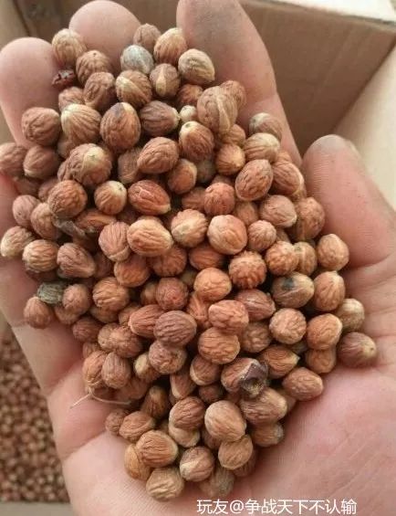 %title插图%num %title插图%num