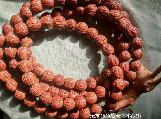 %title插图%num %title插图%num