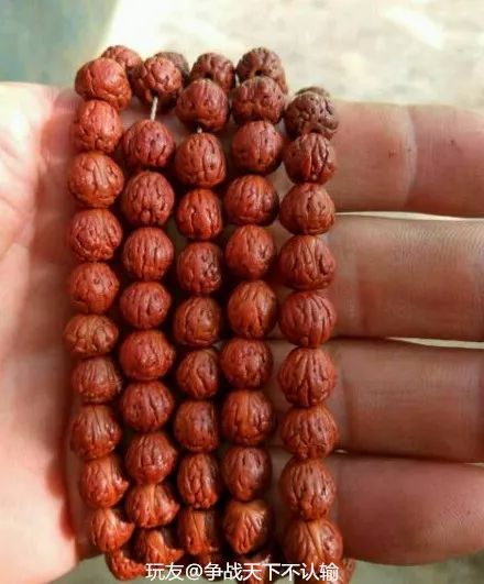 %title插图%num %title插图%num