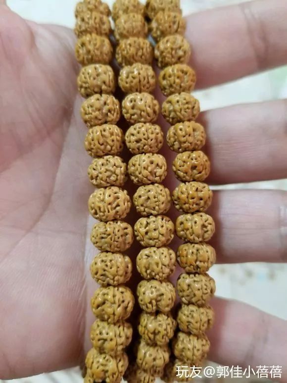 %title插图%num %title插图%num