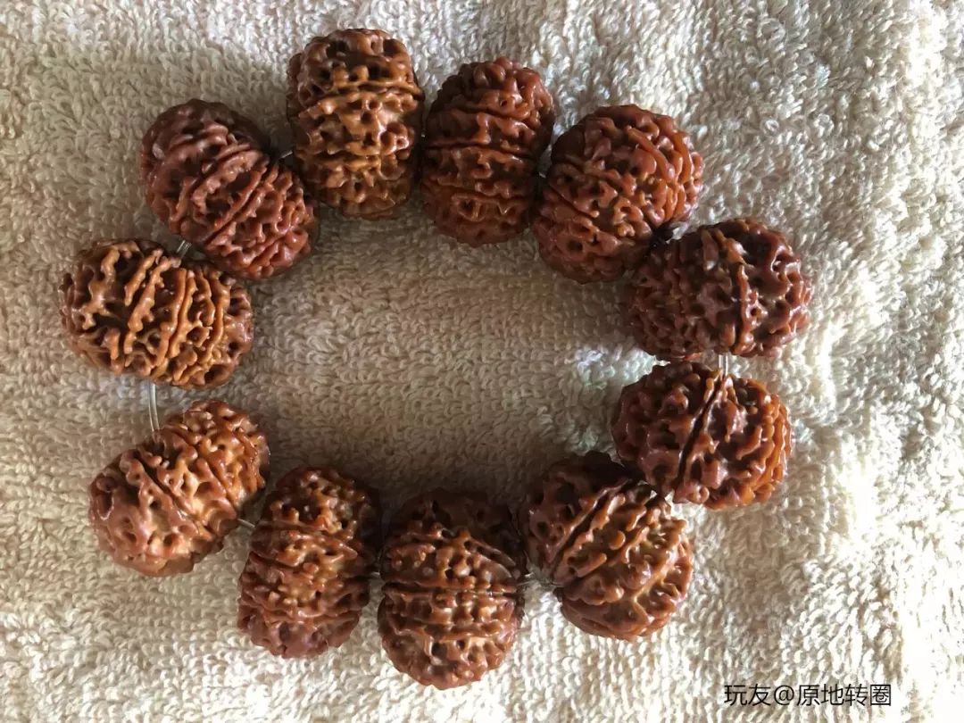 %title插图%num %title插图%num